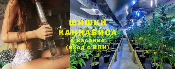 СК Волоколамск