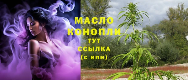 СК Волоколамск