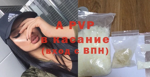 СК Волоколамск