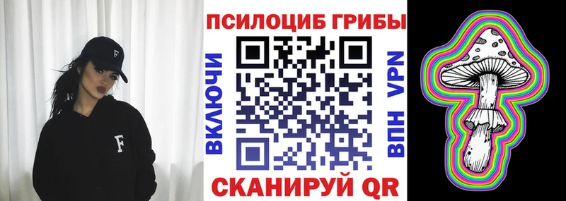 Псилоцибиновые грибы GOLDEN TEACHER наркотики Петропавловск-Камчатский