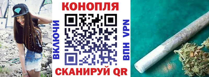 Бошки Шишки LSD WEED  МЕГА tor  Петропавловск-Камчатский 